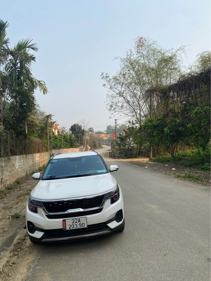 Bán đất 180m² đường nhựa H. Chiêm Hóa, Tuyên Quang - Sổ đỏ thổ cư