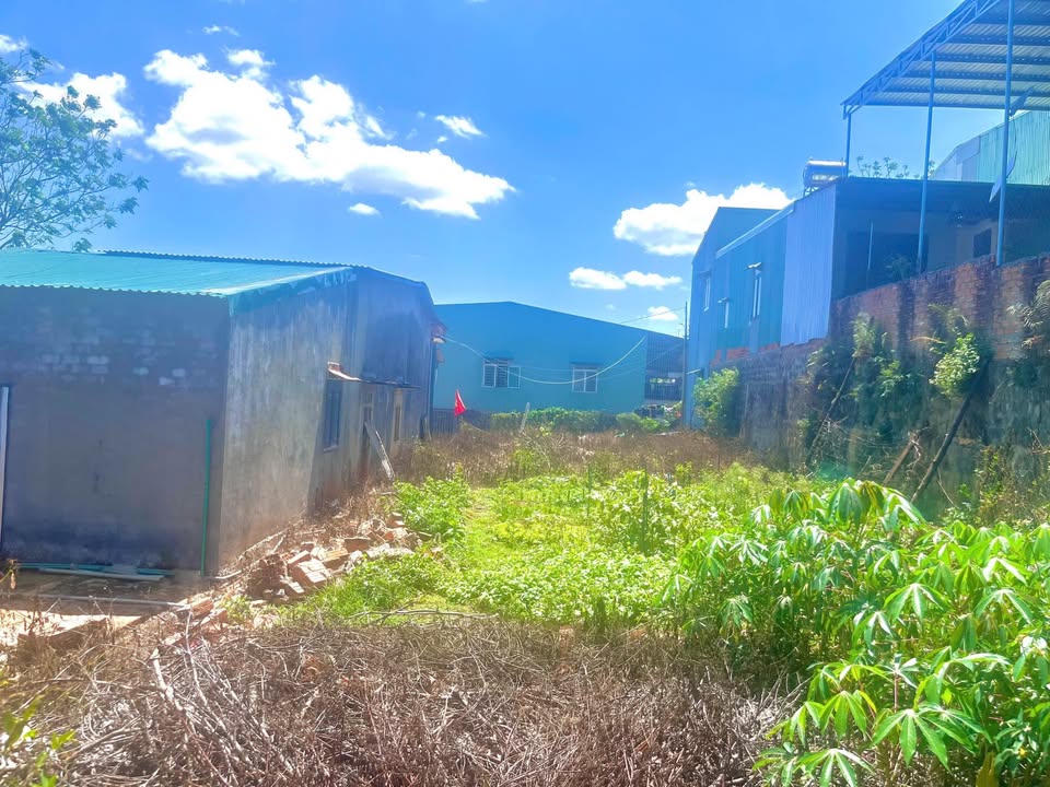 Đất Nền Pleiku 81m² - Hơn 600 Triệu, Sổ Đỏ Sẵn Sàng