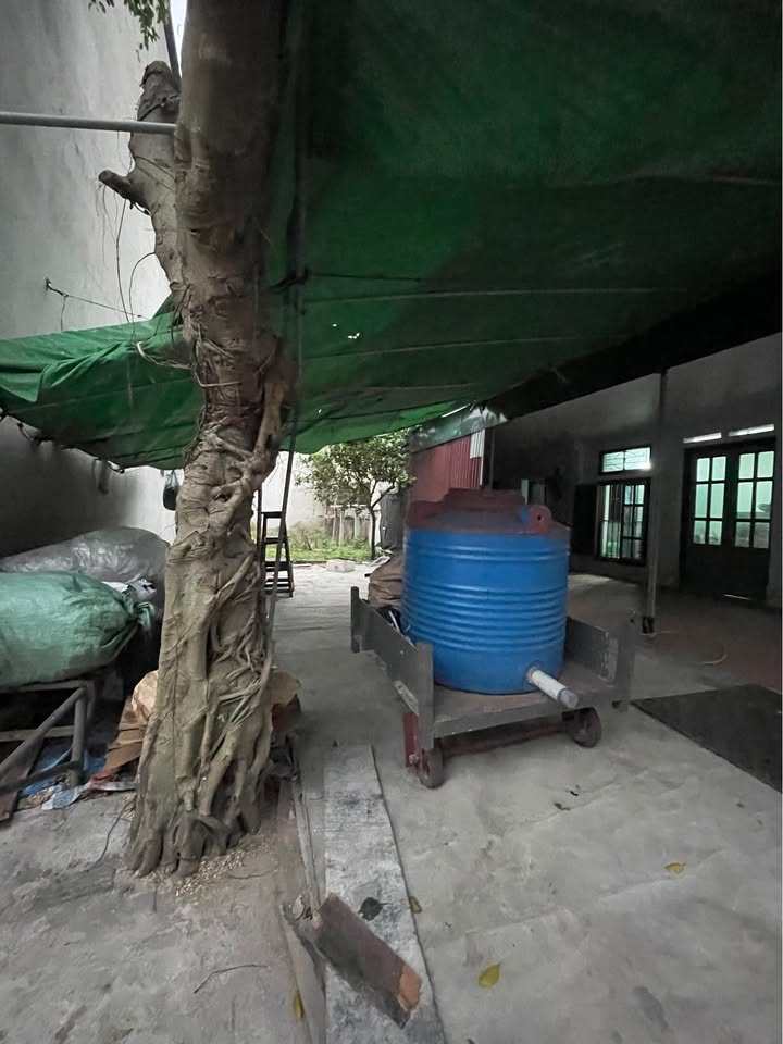 Bán Đất Xuân Ổ A Bắc Ninh 71.3m² Sổ Hồng Chính Chủ - Giá 3 Tỷ