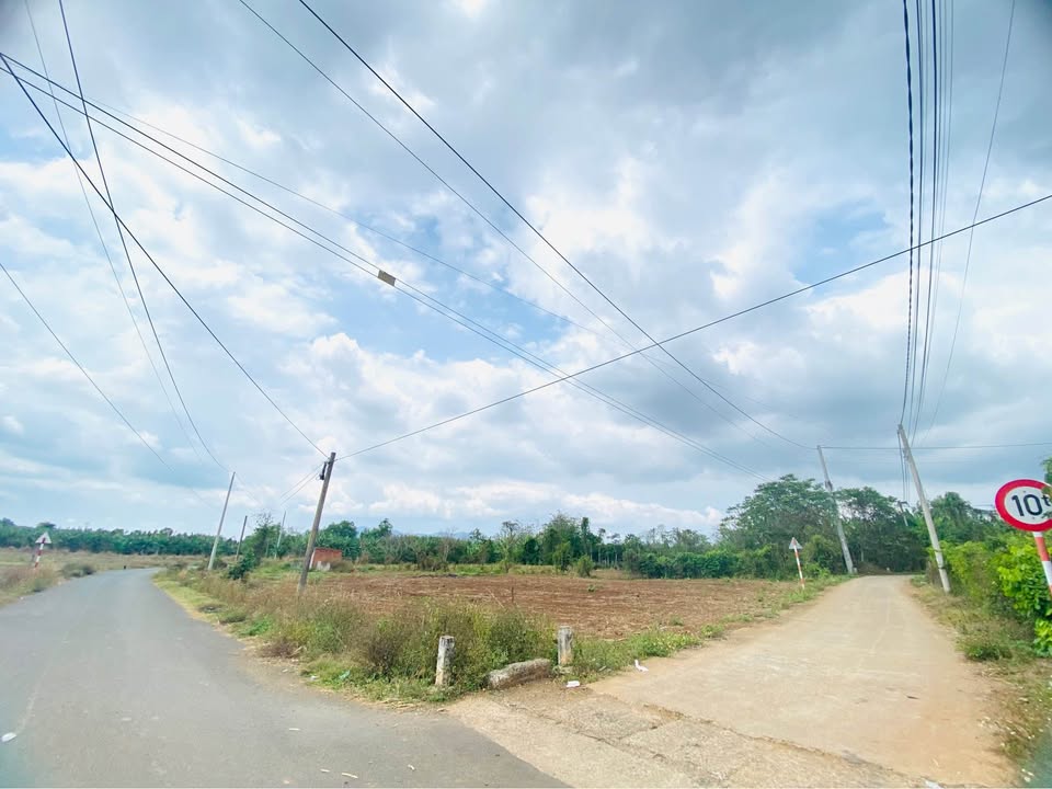 Đất nền Suối Nghệ, Châu Đức 1115m² - Tiềm năng tăng giá vượt trội!