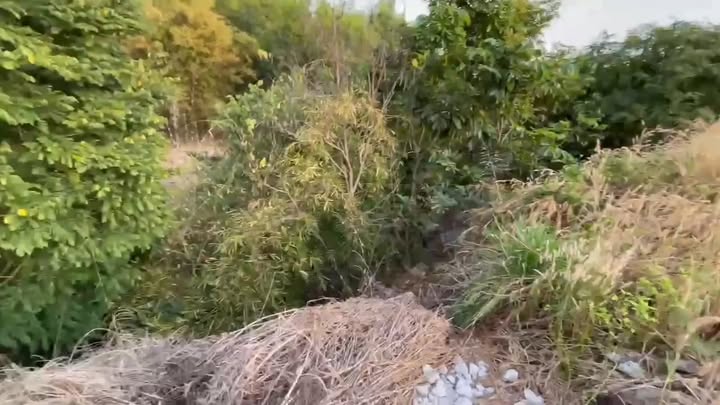 Đất Vàng Kim Dinh 480m² - Sổ Hồng Thổ Cư, Giá Đầu Tư 4 Tỷ