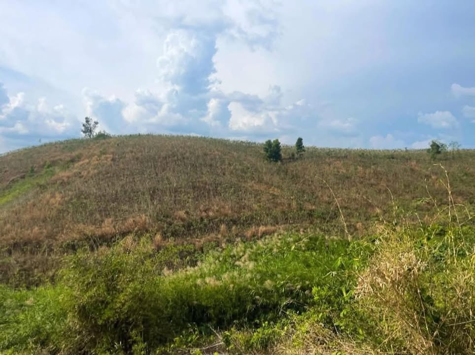 Đất Đỏ Kon Rẫy 1.7 Ha - Giá Đầu Tư Chỉ 4xx Triệu