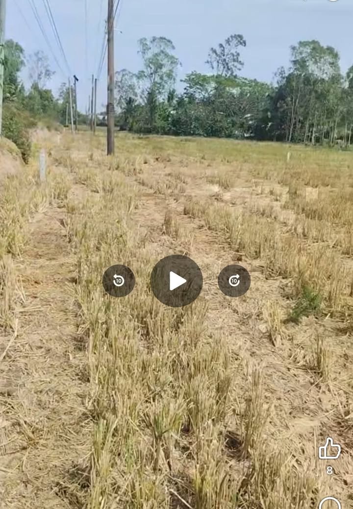 Bán Nền Đất 1029m² Sóc Trăng - Sổ Hồng Thổ Cư, Giá Đầu Tư