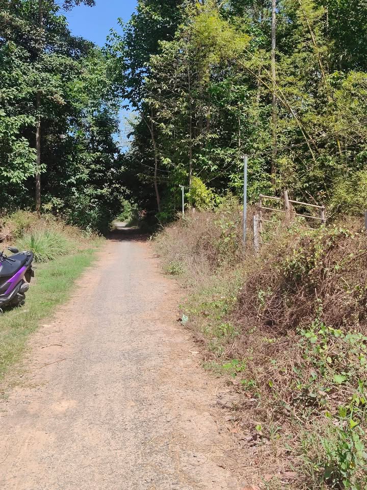 Đất nền 785m² Ấp Lạc Sơn, Duyên Hải – Sổ đỏ chính chủ, giá tốt!