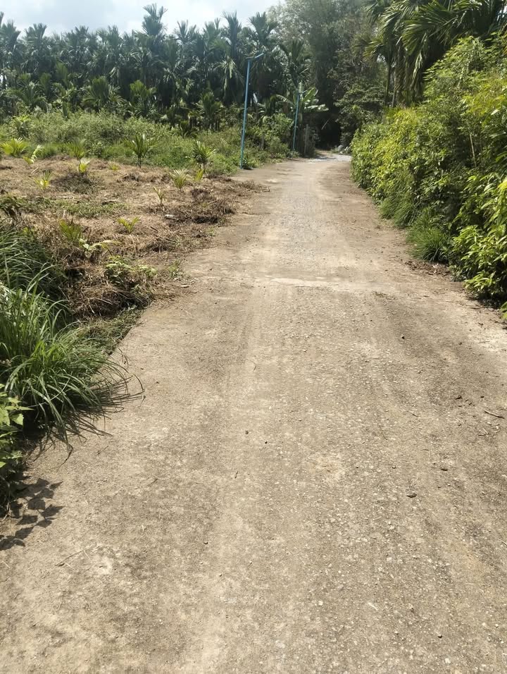 Đất Nền Nghĩa Hành, Quảng Ngãi - 250m² Giá Tốt 3xx Triệu