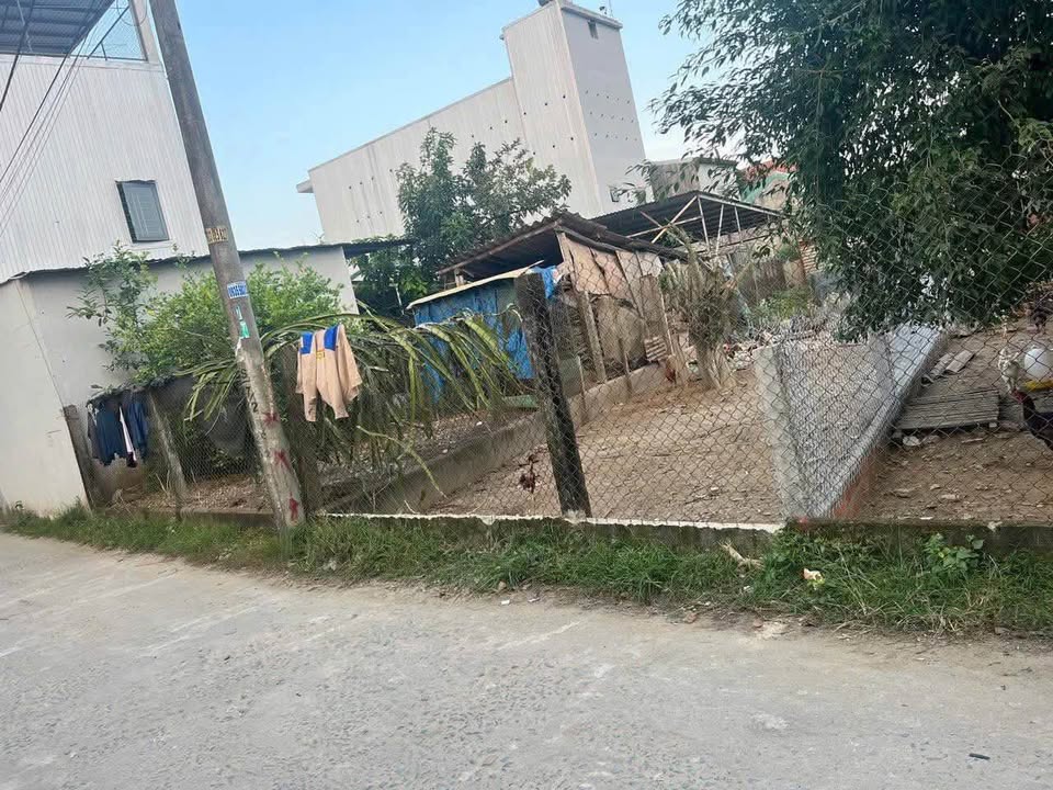 Đất Nền 99.5m² Đường 5m Phường Nghĩa Lộ, Quảng Ngãi - Sổ Đỏ, Giá Tốt