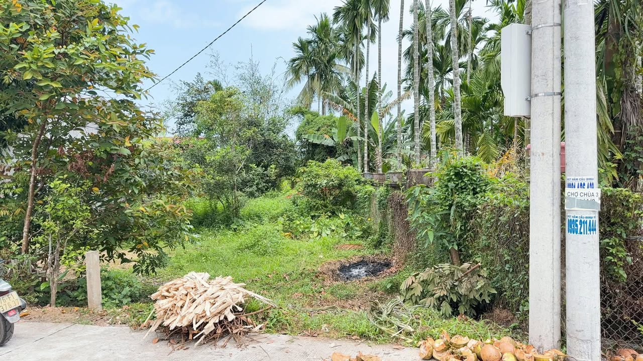 Đất nền Thị trấn Chợ Chùa 150m² - Sổ đỏ chính chủ!