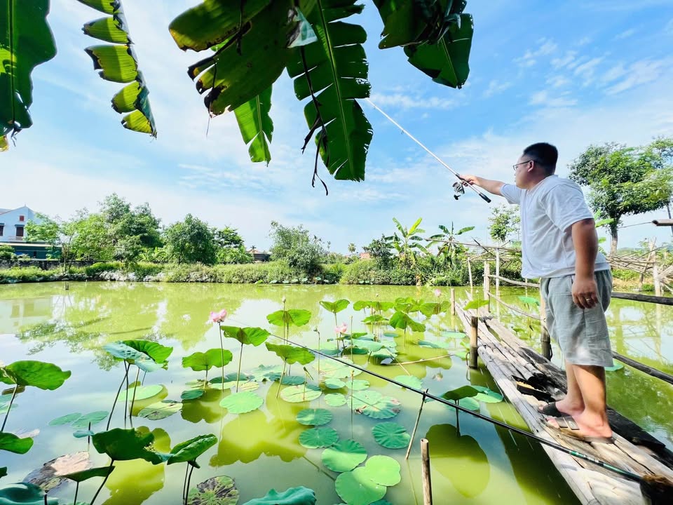 Farm nghỉ dưỡng 528m² tại Đông Sơn, Thanh Hóa - Giá 8 tỷ