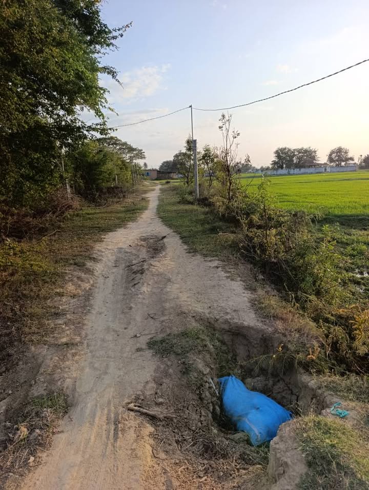 Đất nền Thị trấn Phước Dân Ninh Thuận 6000m² - Tiềm năng tăng giá!