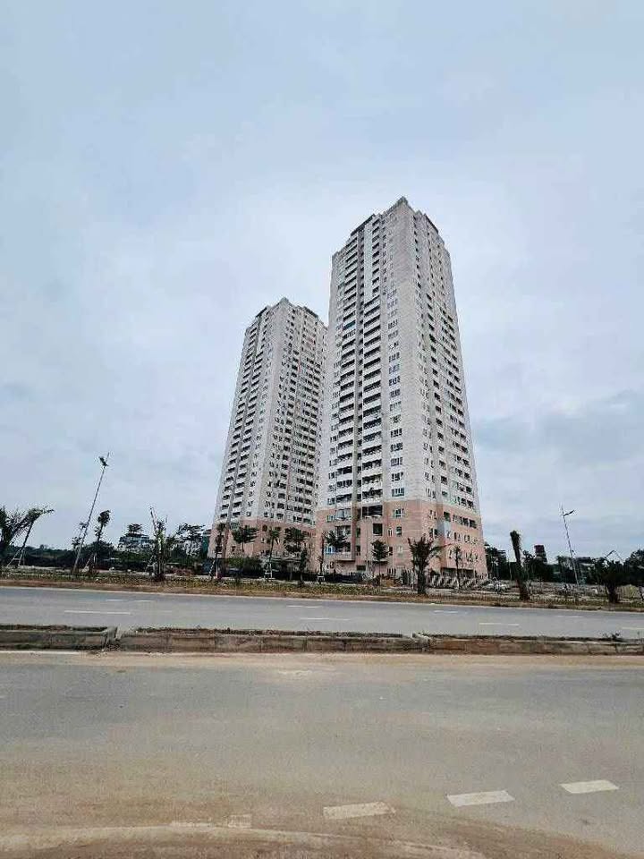 Bán Đất Lai Xá Hoài Đức 55m² - Vỉa Hè Rộng, Kinh Doanh Đỉnh Cao