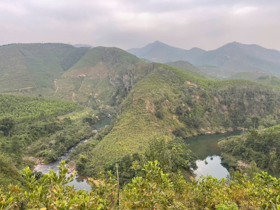 Đất Vườn Quảng Ninh 1500m² - Vượng Khí, Sẵn Sàng Xây Dựng