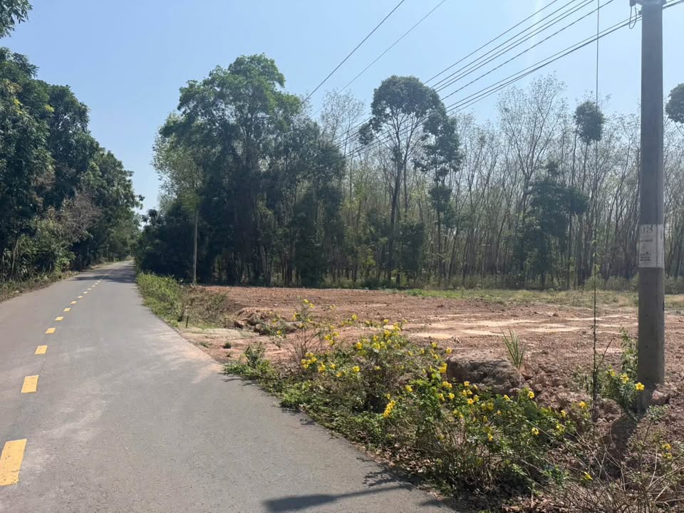 Đất nền An Long, Phú Giáo 260m² giá 620 triệu - Đất thổ cư 100%