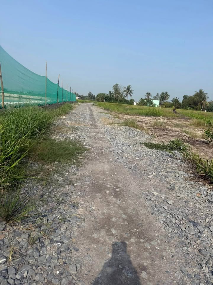 Đất Vườn Long An 1000m² Sổ Hồng Riêng Giá 599 Triệu - Đón Đầu Hạ Tầng