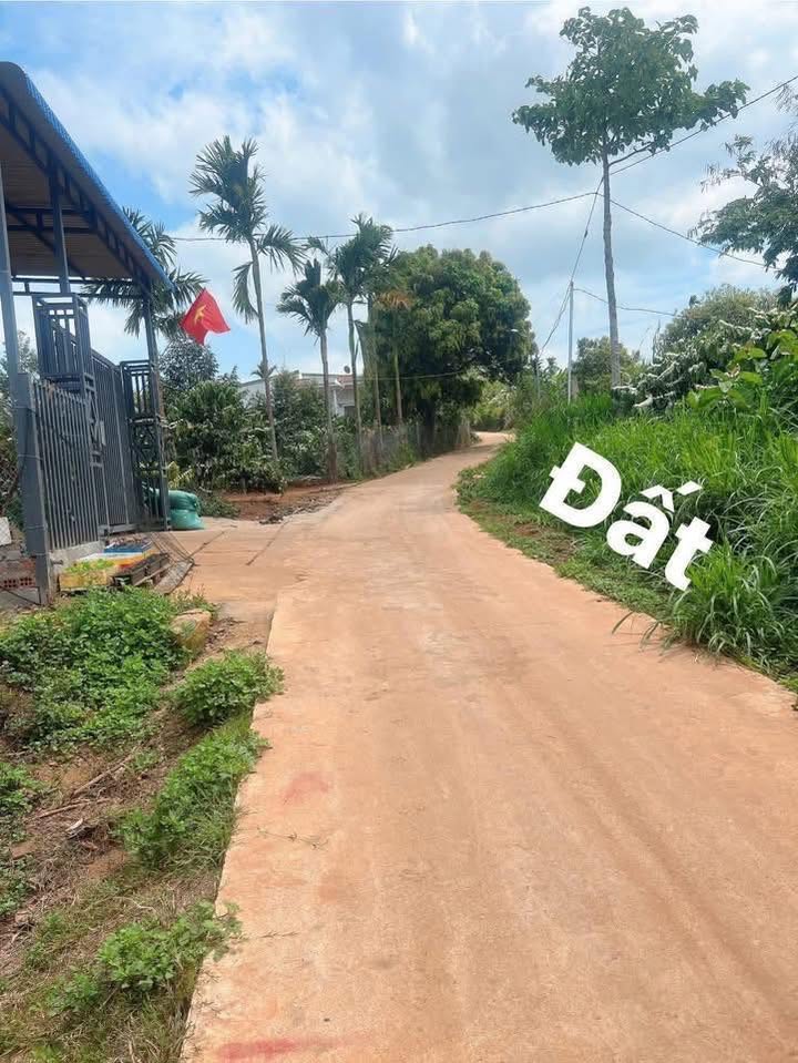 Đất nền Ea H'leo 160m² giá 339 triệu - Sổ đỏ chính chủ!