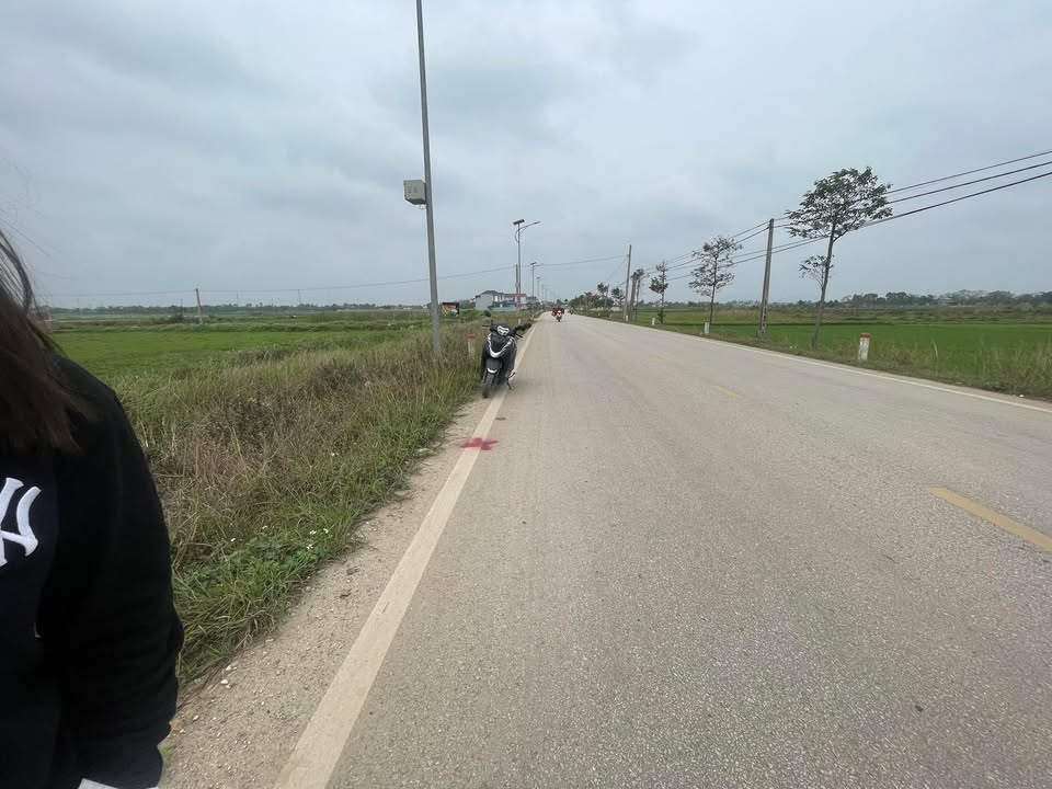 Đất nền 200m² mặt tiền Đường 7, Hoà Lộc, Hậu Lộc - Giá tốt đầu tư