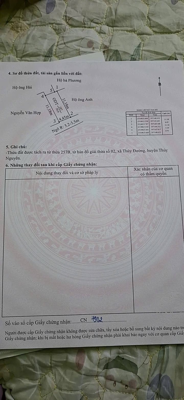 Bán Đất 50m² Thủy Đường, Thủy Nguyên - Vị Trí Đắc Địa, Giá 2 Tỷ