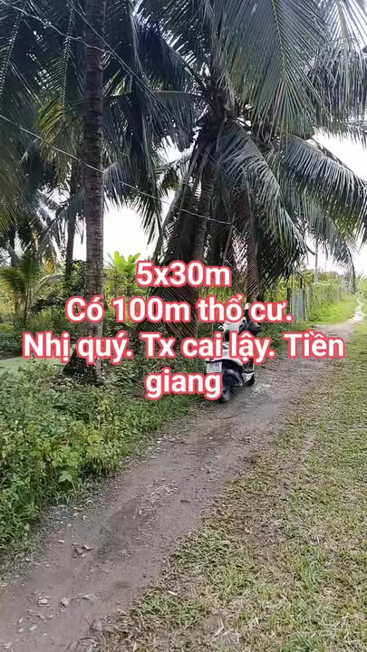Đất nền Nhị Quý, Cai Lậy 159m² - Giá F0 đầu tư tốt!