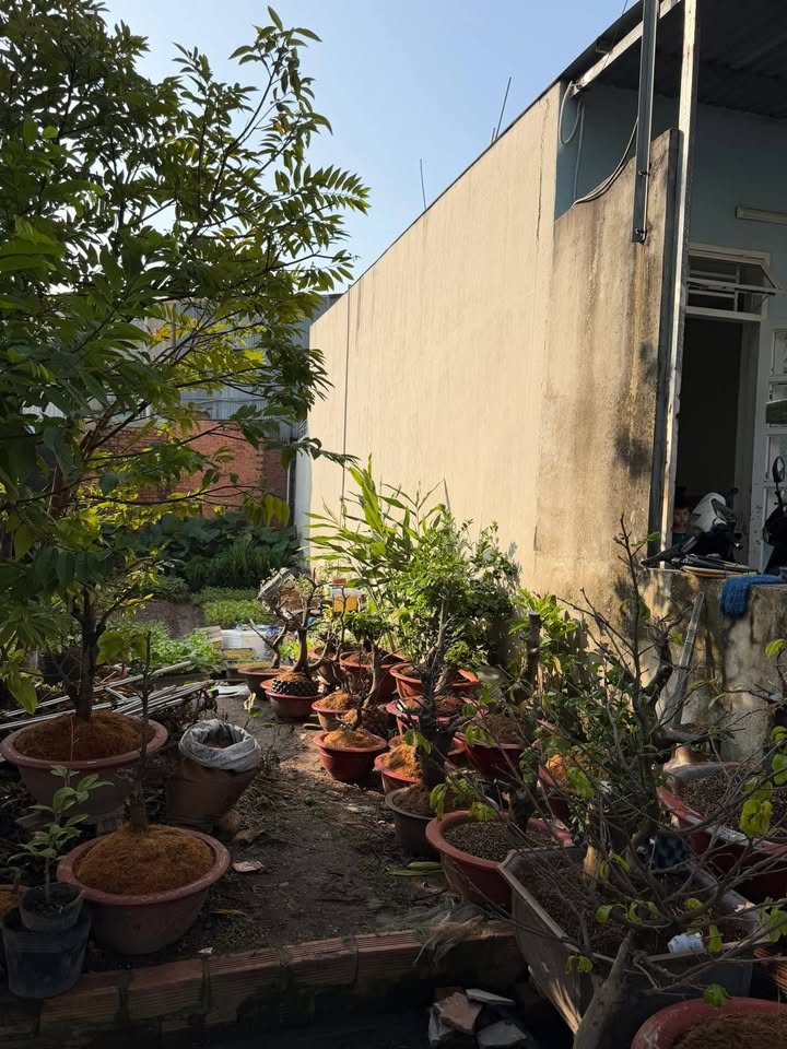 Bán Đất Sổ Hồng Riêng Hóc Môn 80m² - Giá 3.35 Tỷ - Gần Chợ Đông Thạnh