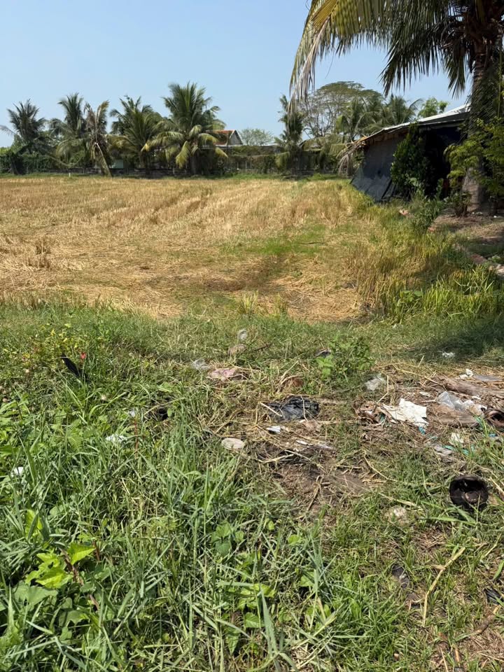 Bán Gấp Đất Nền Đức Hòa Long An 470m² - Sổ Hồng Sẵn