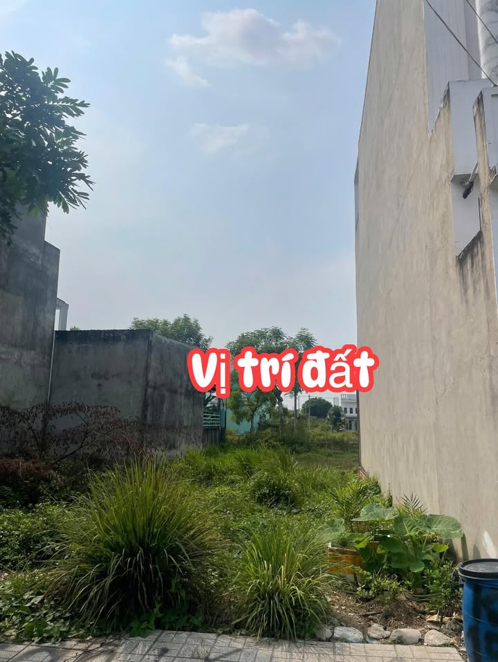 Đất nền Cát Tường Phú Sinh Đức Hòa 60m² giá 930 triệu - Sổ hồng chính chủ