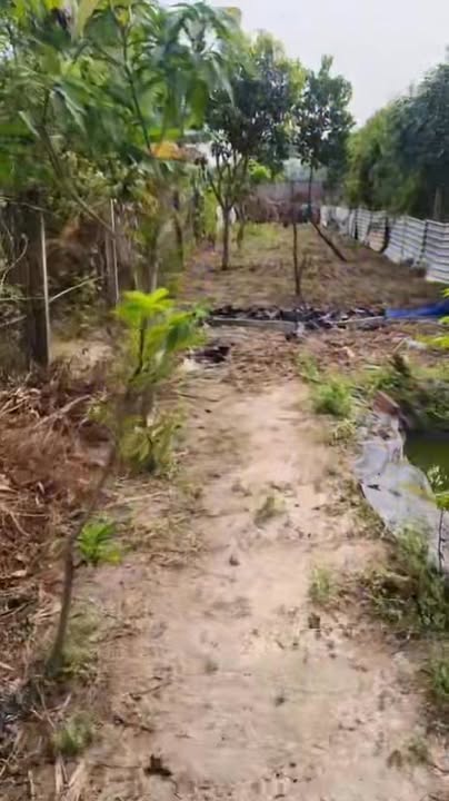 Nhà Phú Mỹ 528m² giá 3.9 tỷ - Chính chủ bán gấp!