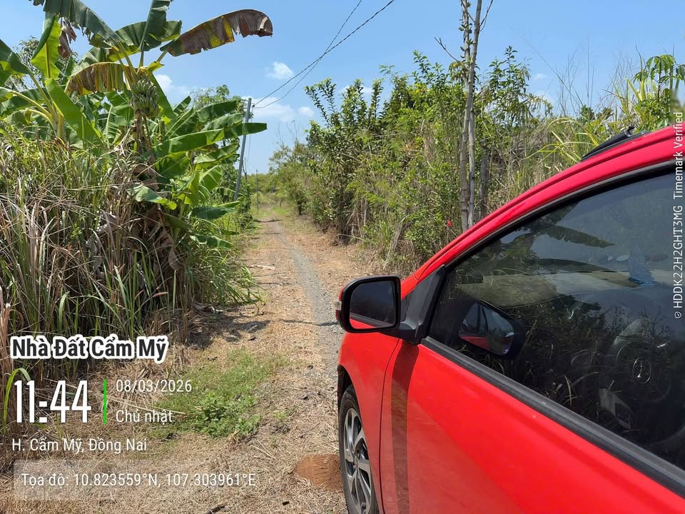 Đất Vườn Đồng Nai 12900m² Sổ Hồng Riêng - View Suối Nghỉ Dưỡng Giá Tốt