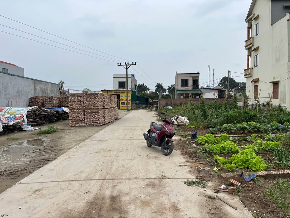 Bán Đất Thổ Cư Mão Điền, Bắc Ninh 54m² - Sổ Đỏ Sẵn Sàng