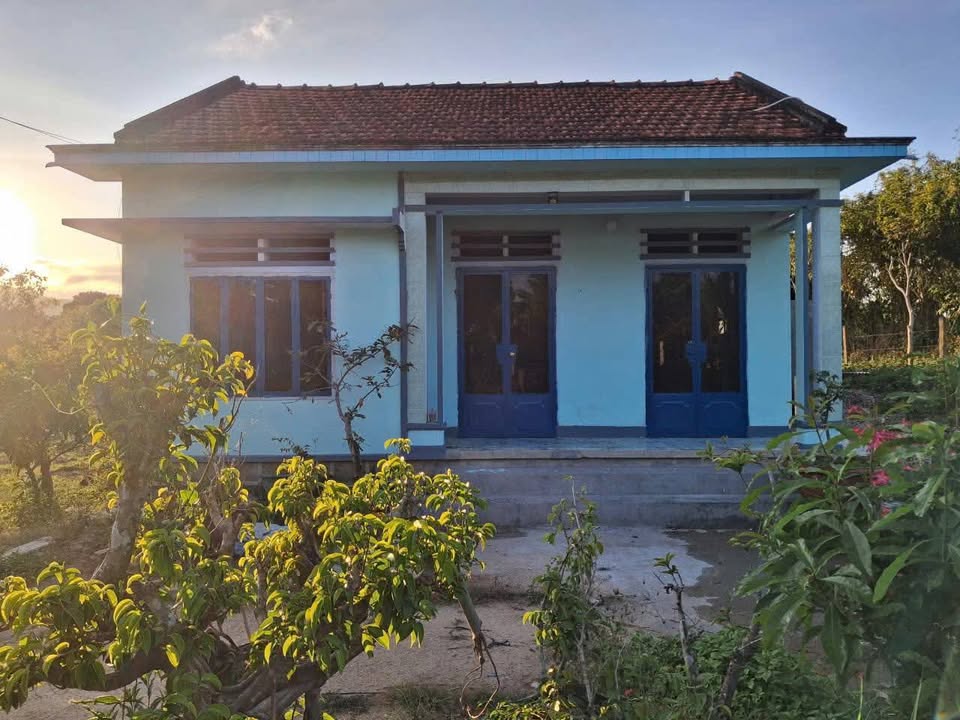 Đất Vườn Ninh Tân, Ninh Hòa 80m² - Sinh thái xanh, tiềm năng vượt trội!