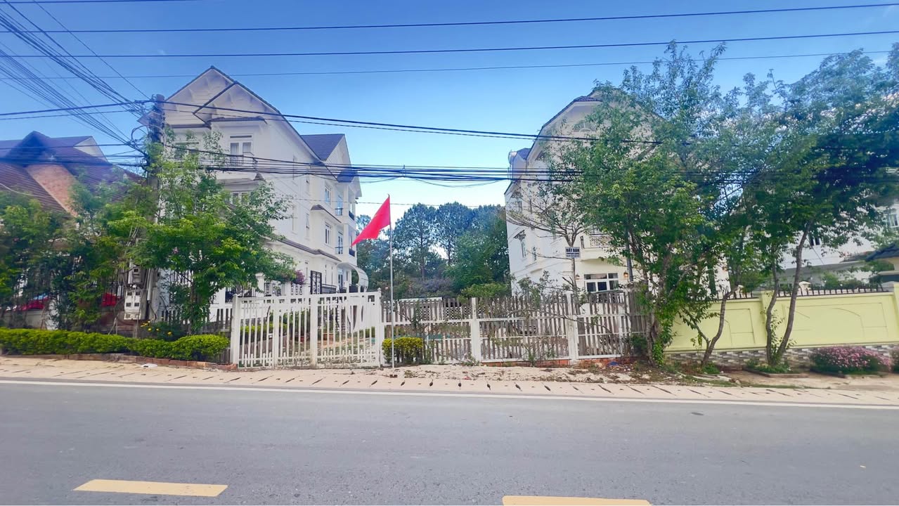 Đất Vàng Đà Lạt - Mặt Tiền 12m Đường Nhựa, 393m², Giá 29 Tỷ