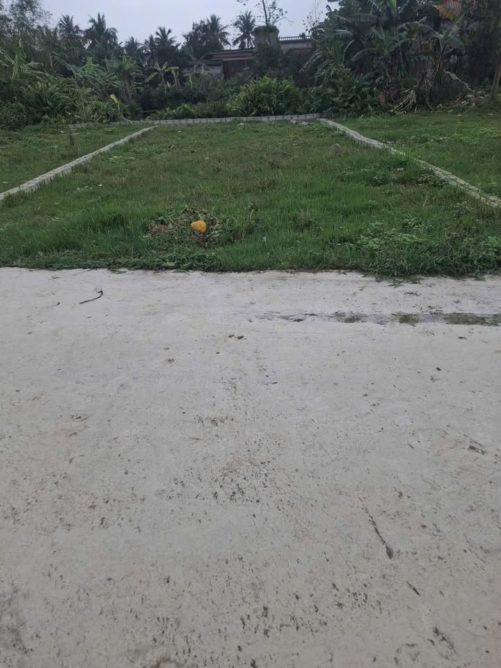 Bán Đất Vĩnh Bảo, Hải Phòng - 90m², Mặt Tiền 6m, Ngõ Ô Tô Giá 1 Tỷ