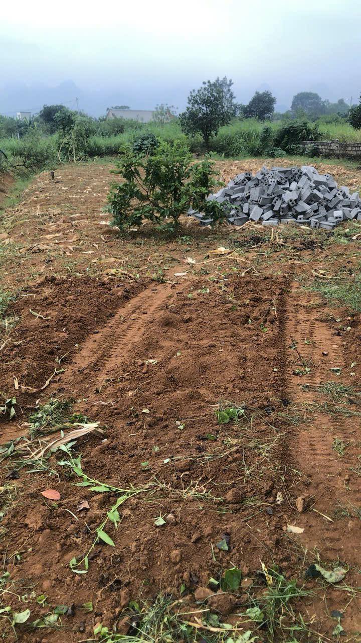 Đất nền 237.7m² Thôn 7 Đông Sơn, Tam Điệp - Giá Tốt Đầu Tư