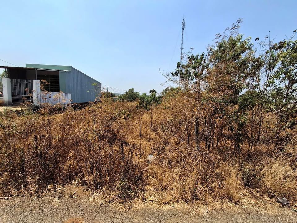 Bán Đất Ia Dêr Gia Lai 130m² Giá Tốt - Sổ Hồng Đã Hoàn Công