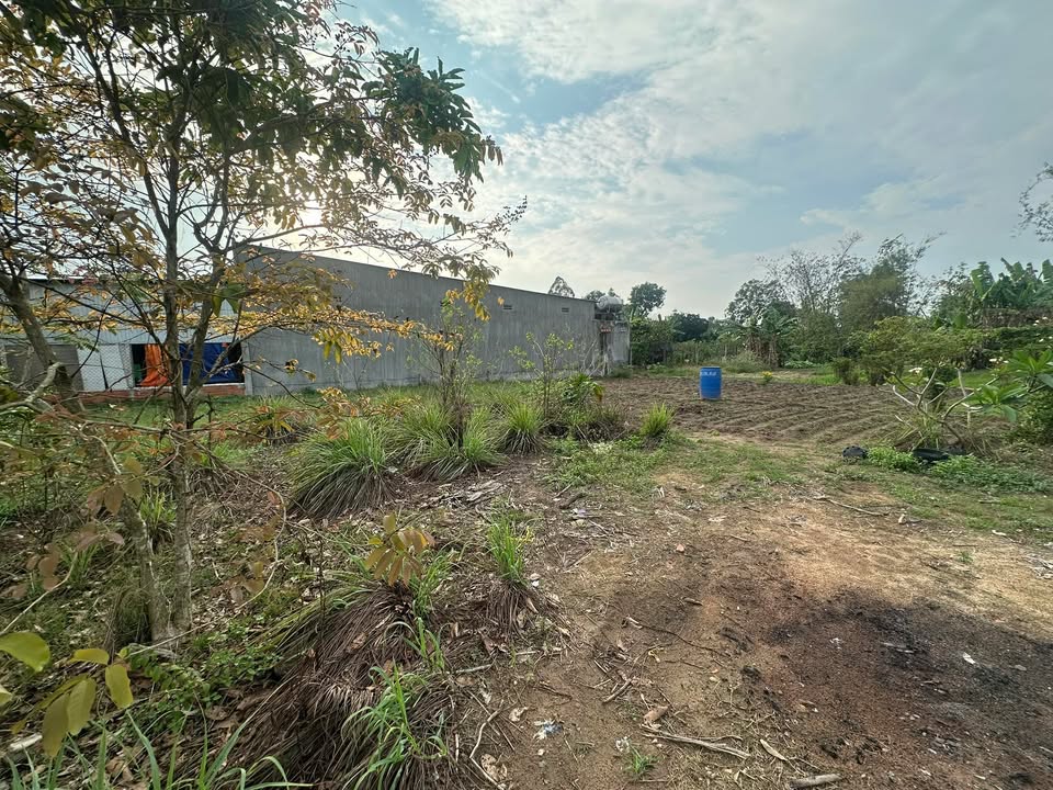 Bán gấp đất nền Củ Chi 10050m² gần KCN - Sổ đỏ, mặt tiền nhựa