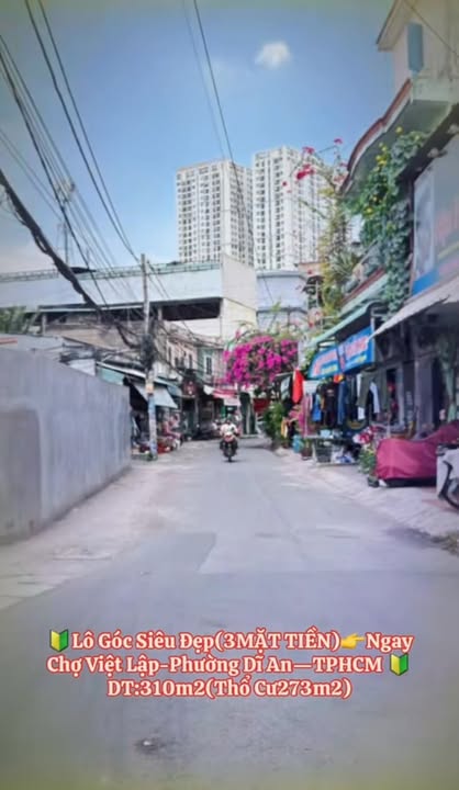 Đất nền Chợ Việt Lập 310m² - Tiềm năng tăng giá vượt trội!