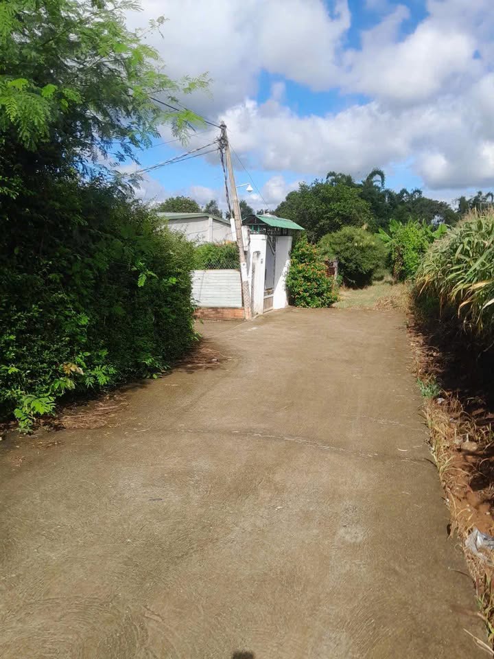 Đất nền Hẻm Nguyễn Thị Định BMT 110m² - Tiềm năng tăng giá!