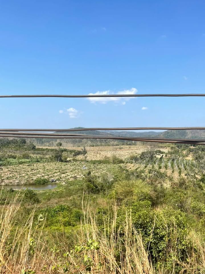 Đất vườn Ea Wy, Ea H'leo 20000m² - Tiềm năng tăng giá!