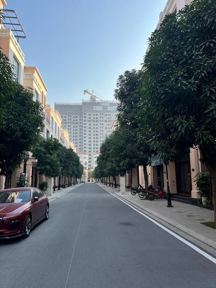 Căn hộ Vinhomes Ocean Park 65m² chỉ 9 tỷ - Giá tốt hiếm có!