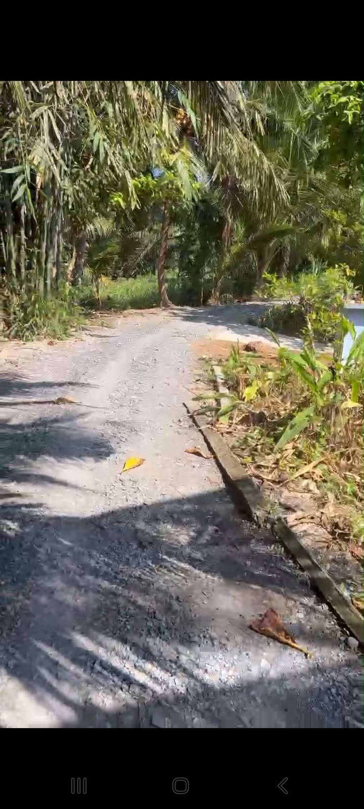 Đất nền Cái Nhum, Vĩnh Long 504.5m² 600 triệu - Sổ đỏ chính chủ!