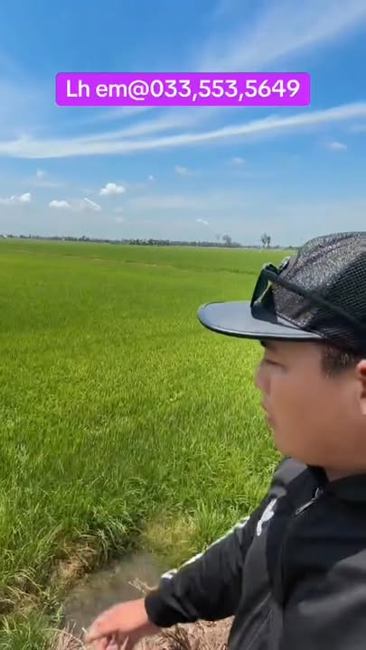 Đất vườn Thủ Thừa Long An 5ha 1,5 tỷ - Sổ đỏ chính chủ