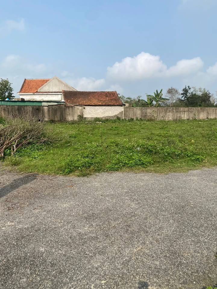 Đất nền Thịnh Trường, Nghi Lộc 160m² - Tiềm năng tăng giá!