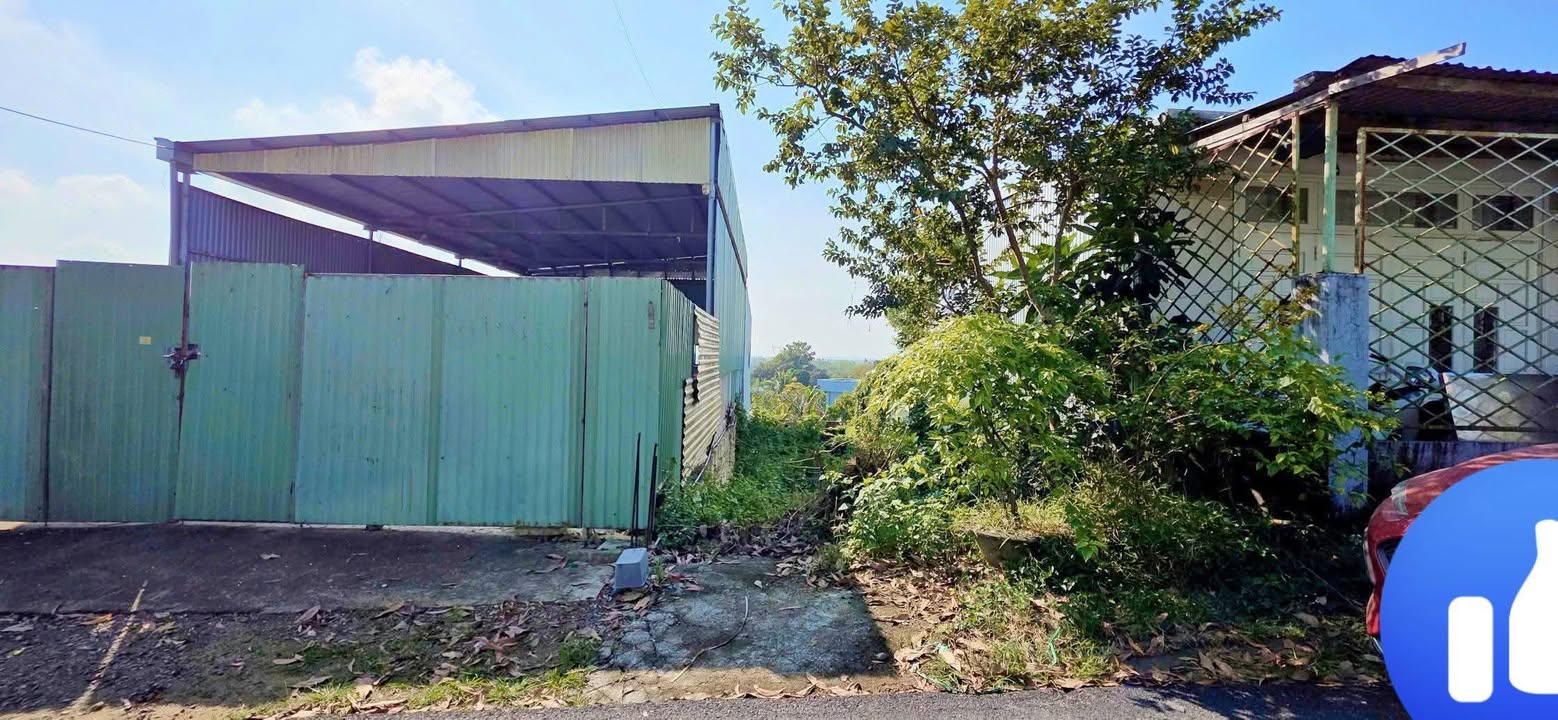 Đất Nền Mặt Tiền 100m² Hòa Bắc, Đà Nẵng - Kinh Doanh Sầm Uất, Giá 1 Tỷ