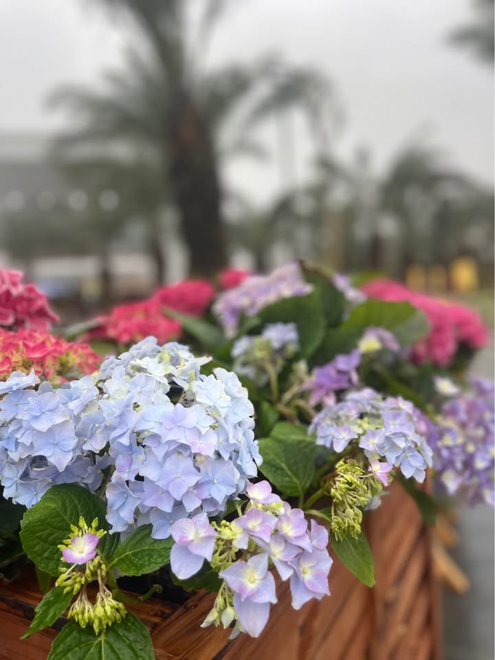 Căn hộ Bảo Sơn Lê Lợi Vinh 72m² 1,9xx tỷ - Full nội thất cao cấp