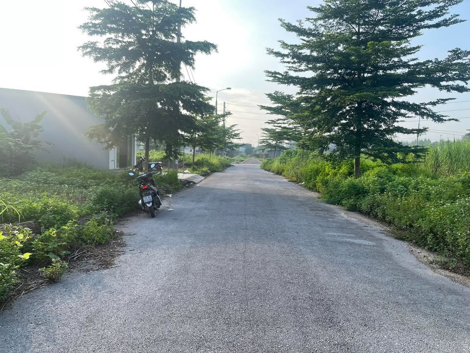 Đất nền Yên Mỹ, Lạng Giang 90m² giá chỉ 1.3 tỷ - Pháp lý rõ ràng!