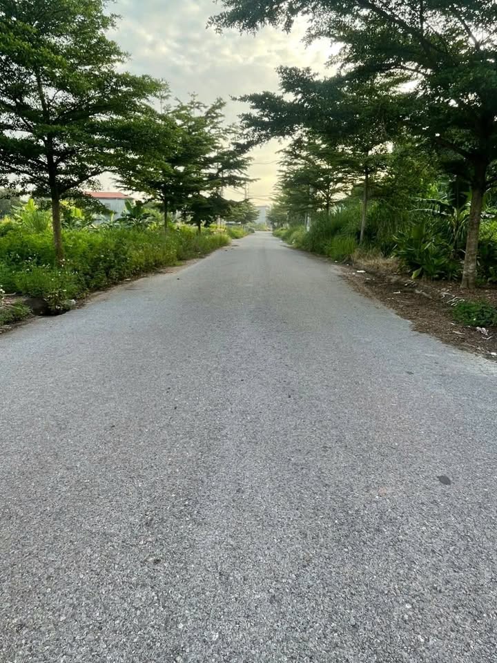 Đất nền Lạng Giang 90m² - Cắt lỗ sâu, giá chỉ từ 1.3 tỷ