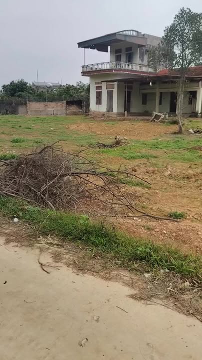 Đất Nền Tân Hưng, Lạng Giang - Hơn 2000m², Mặt Tiền 50m, Gần KCN