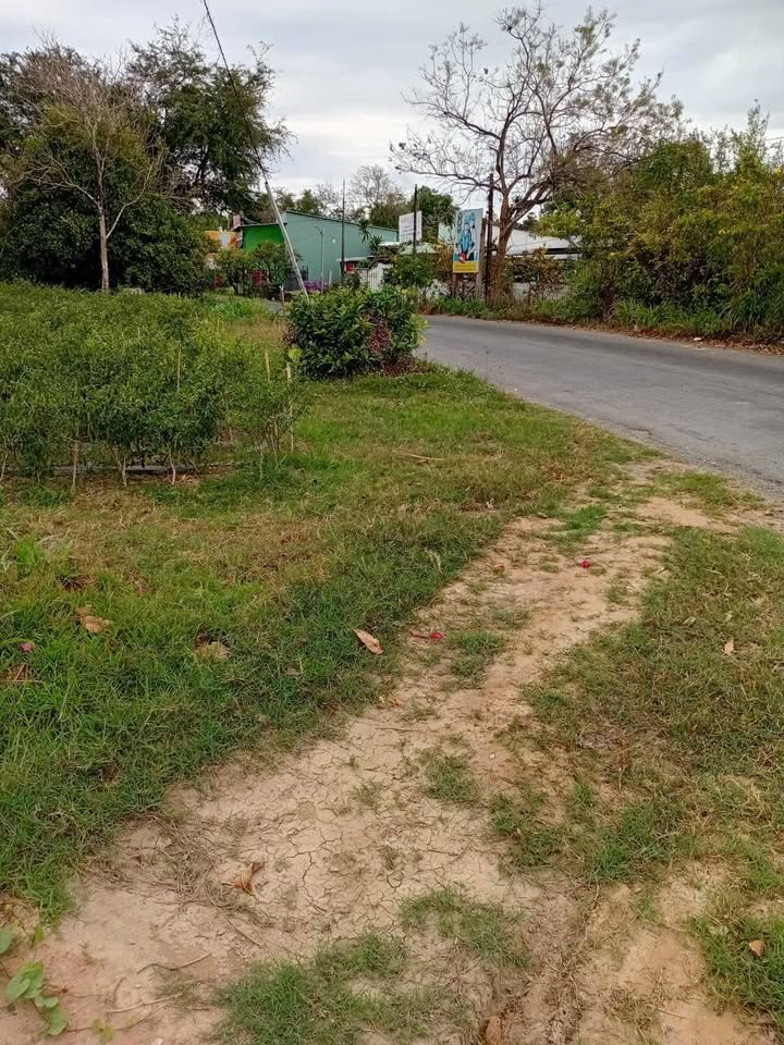 Bán Đất Mặt Tiền Hương Lộ 1100m² - Cầu Ngang, Trà Vinh - Giá Đầu Tư