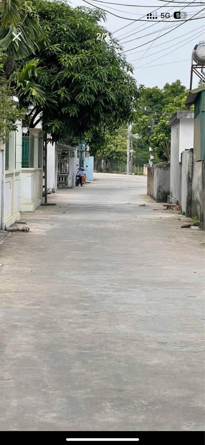 Bán Đất Nền Thanh Miếu, Vũ Phúc, Thái Bình - 45.2m² Hơn 1 Tỷ