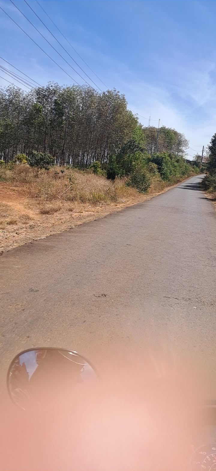 Đất nền Quảng Thành, Gia Nghĩa 460m² - Tiềm năng tăng giá vượt trội!