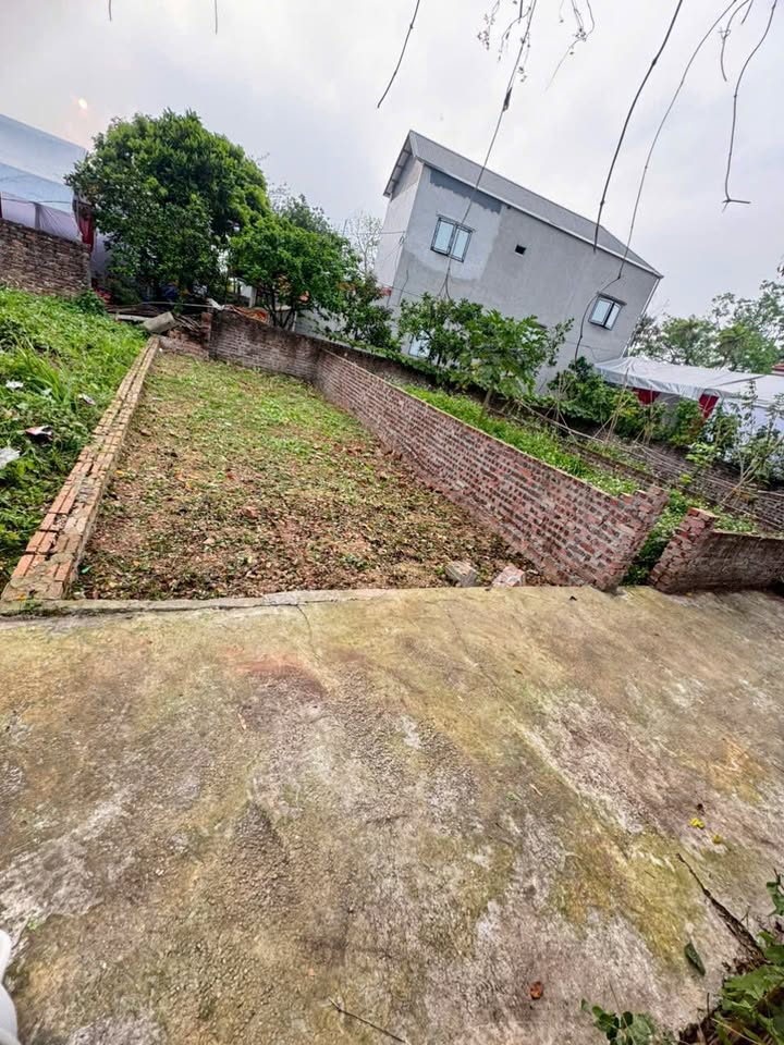 Đất nền Ngọc Tảo Phúc Thọ 42m² chỉ 1.4 tỷ – Tiềm năng tăng giá vượt trội!