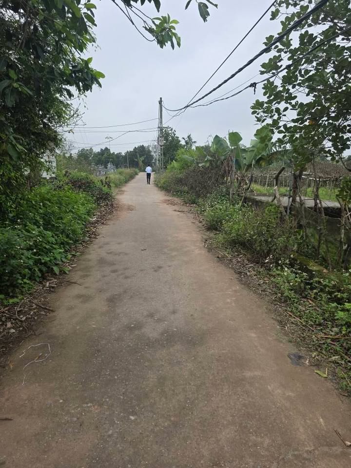 Đất Trồng Cây Lâu Năm Thanh Oai 1100m² - Sổ Đỏ Chính Chủ - Giá Tốt